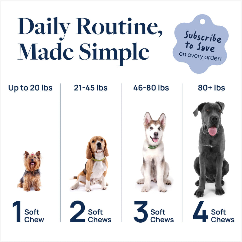 Daily dog care routine by weight: 1-4 soft chews for small to large breeds, subscribe to save