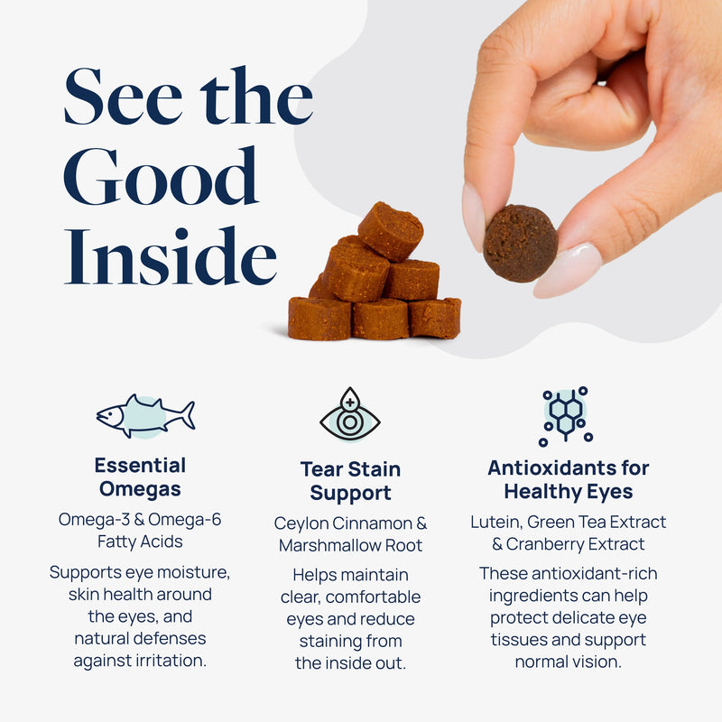Hand holding a pet supplement treat with benefits for eye health, tear stain support, and antioxidants. Essential omegas for healthy eyes.