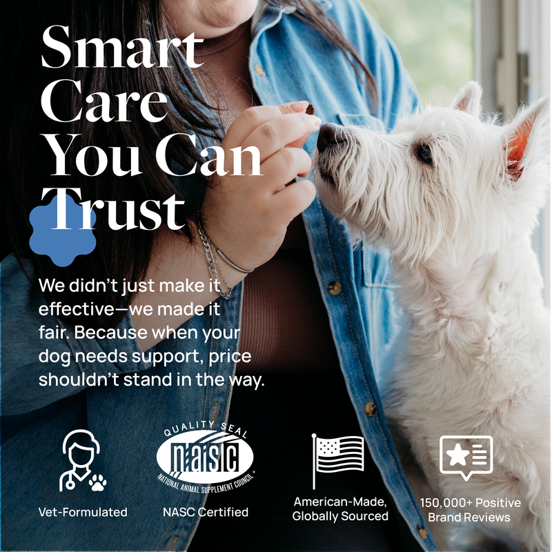 Eye Health Supplement