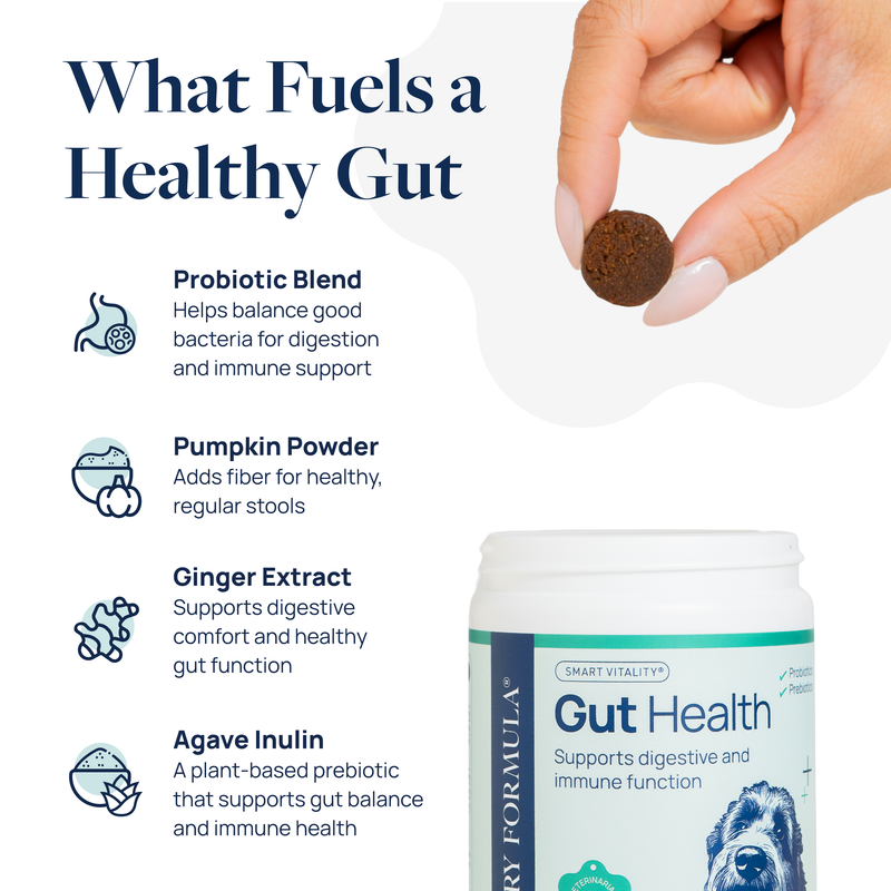 Gut Health Supplement