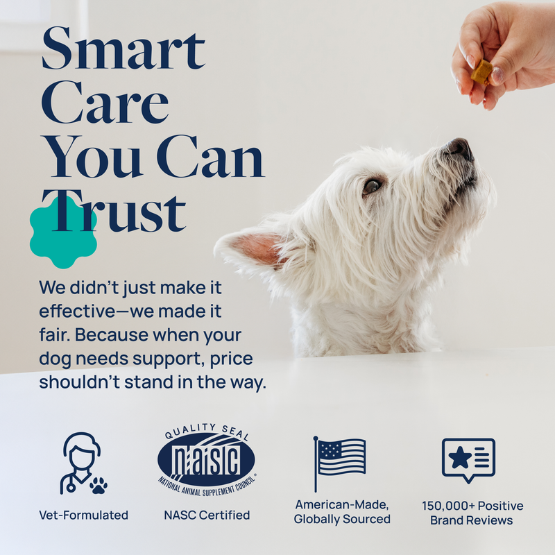 Gut Health Supplement