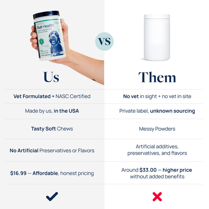 Gut Health Supplement