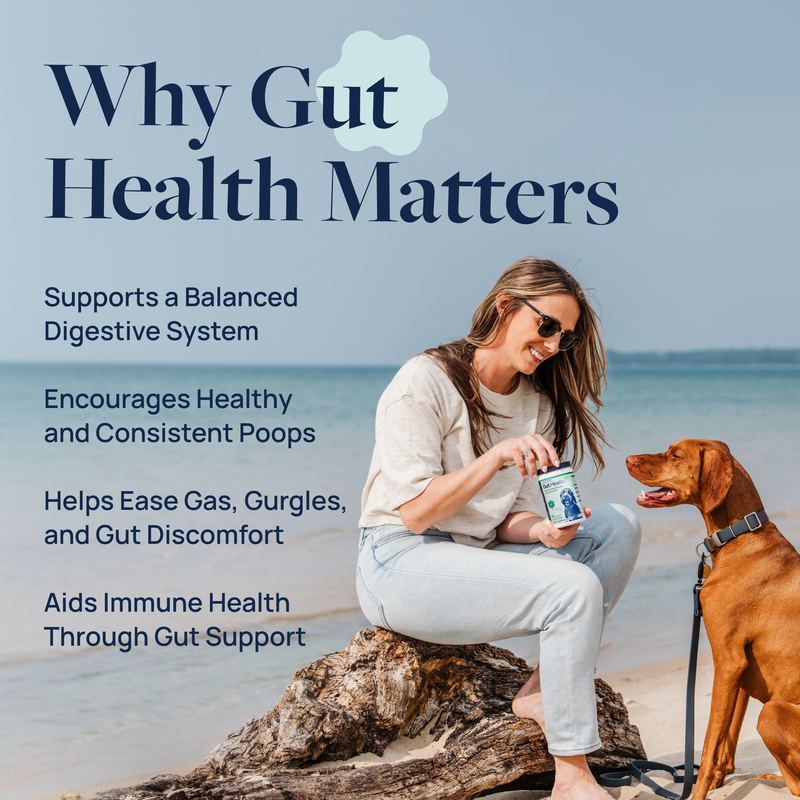 Gut Health Supplement