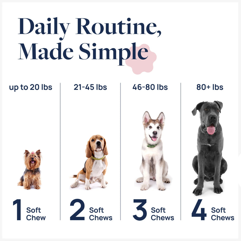 Daily dog supplement routine by weight: 1-4 soft chews for small to large breeds, promoting pet health.