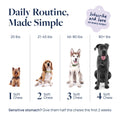 Daily routine for dogs by weight: 1-4 soft chews for 20-80+ lbs, simplify pet care with tailored doses.