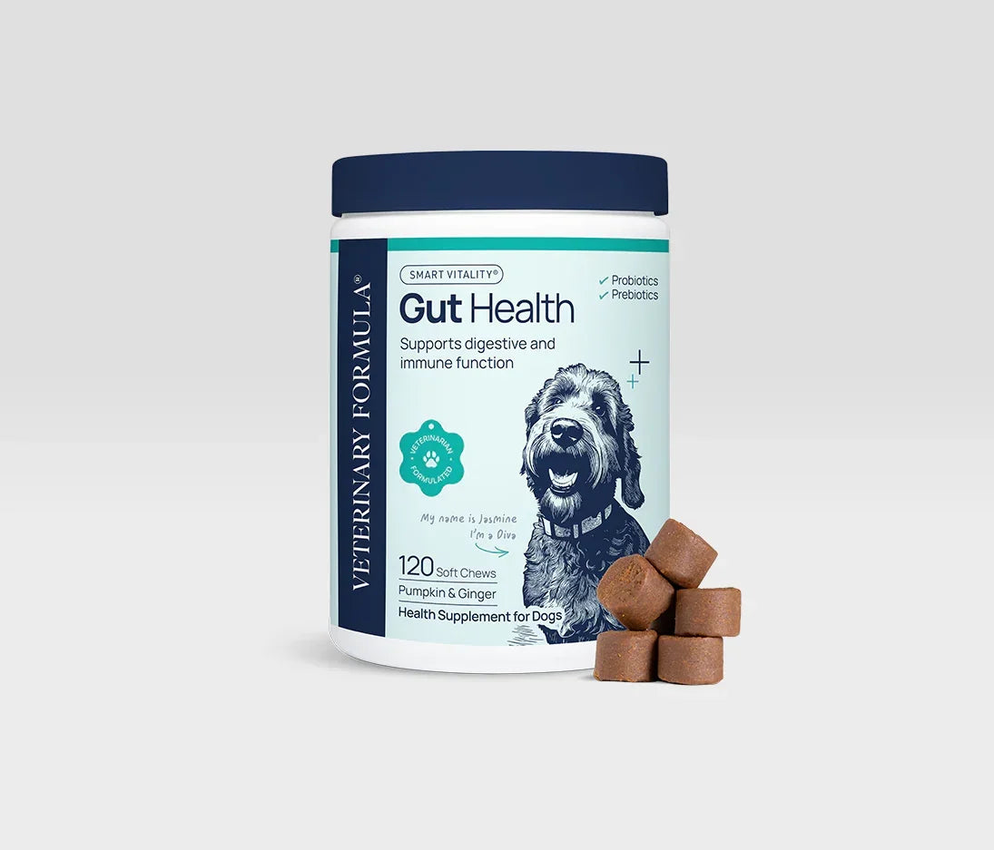Gut Health dog supplement with probiotics, pumpkin & ginger soft chews for digestive and immune support