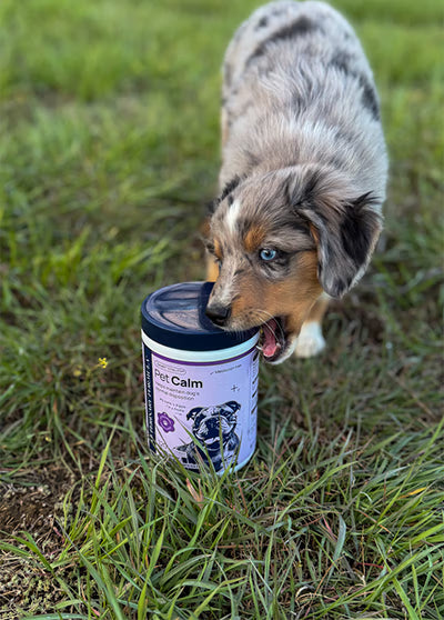 Vet-Formulated. Pet Approved.