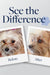 Before and after dog eye care results showing improved pet health and fur condition