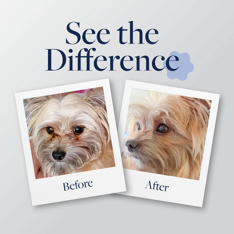 Before and after photos showing a small dog's improved skin and coat health with pet care formula