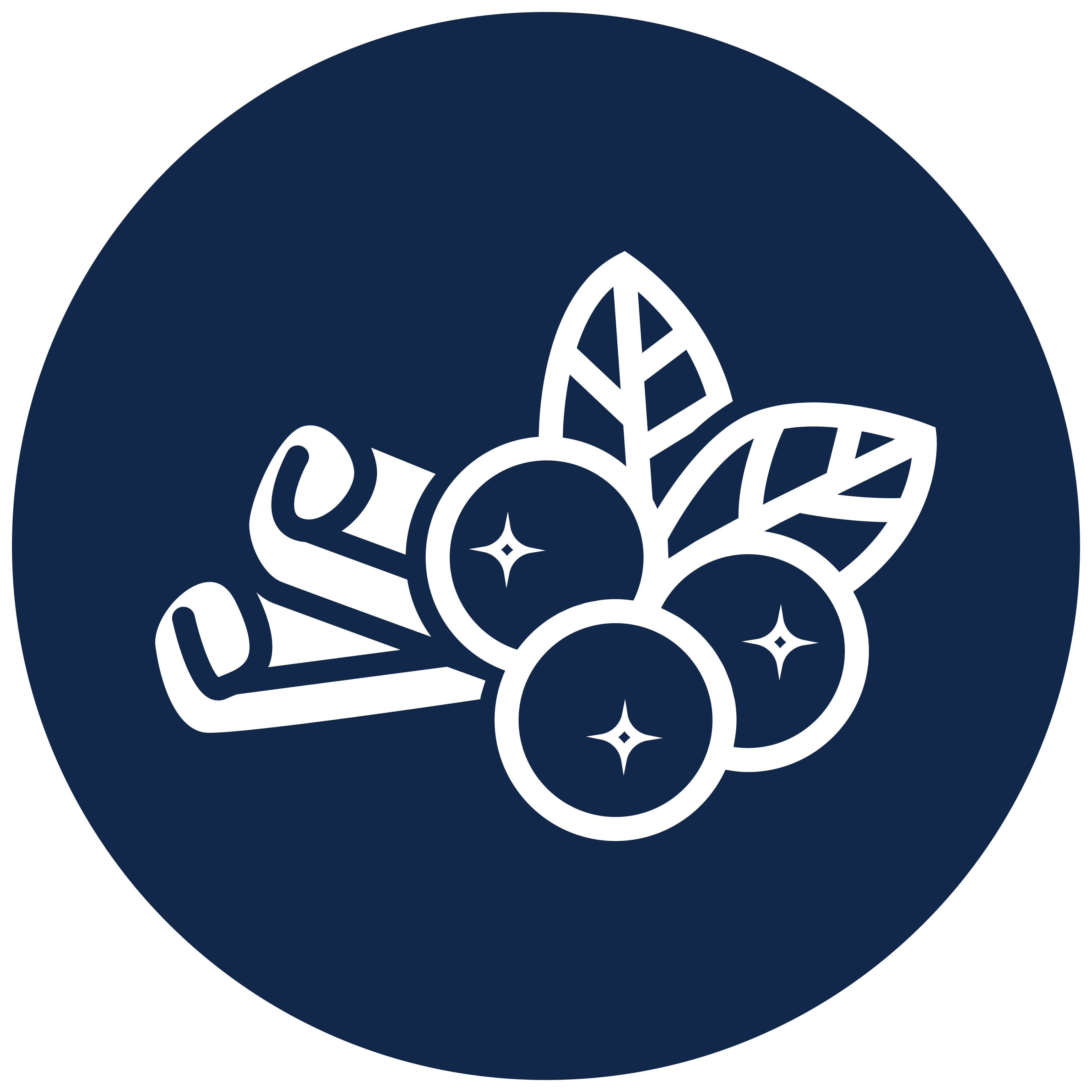 Cranberry & Cinnamon