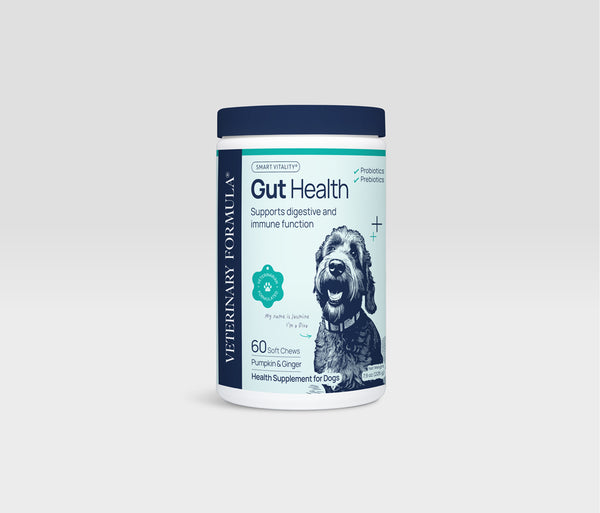 Supplement For Bloating