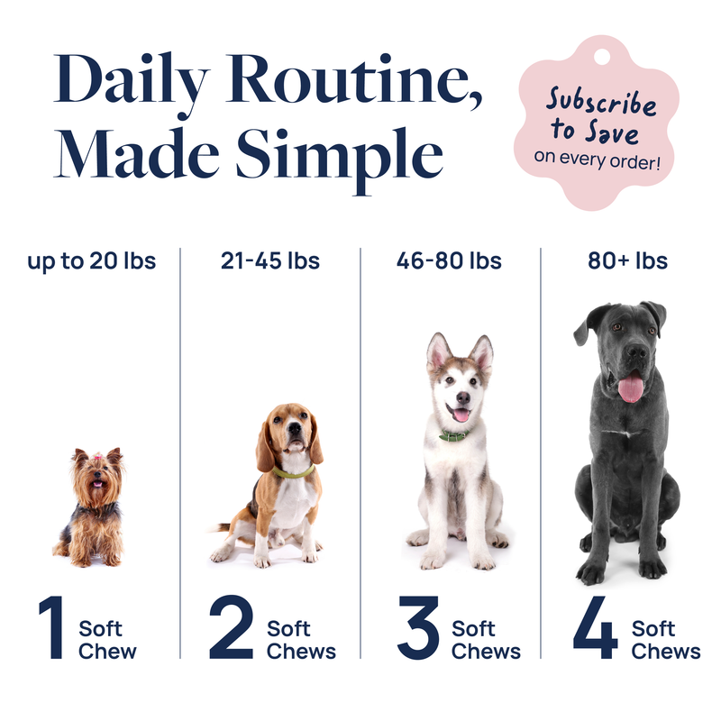 Hip & Joint Supplement