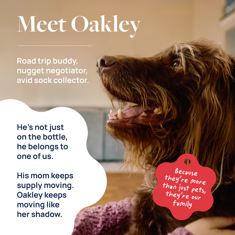 Hip & Joint Supplement