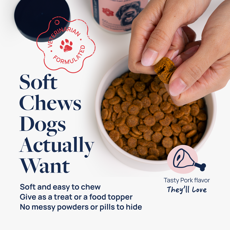 Hip & Joint Supplement