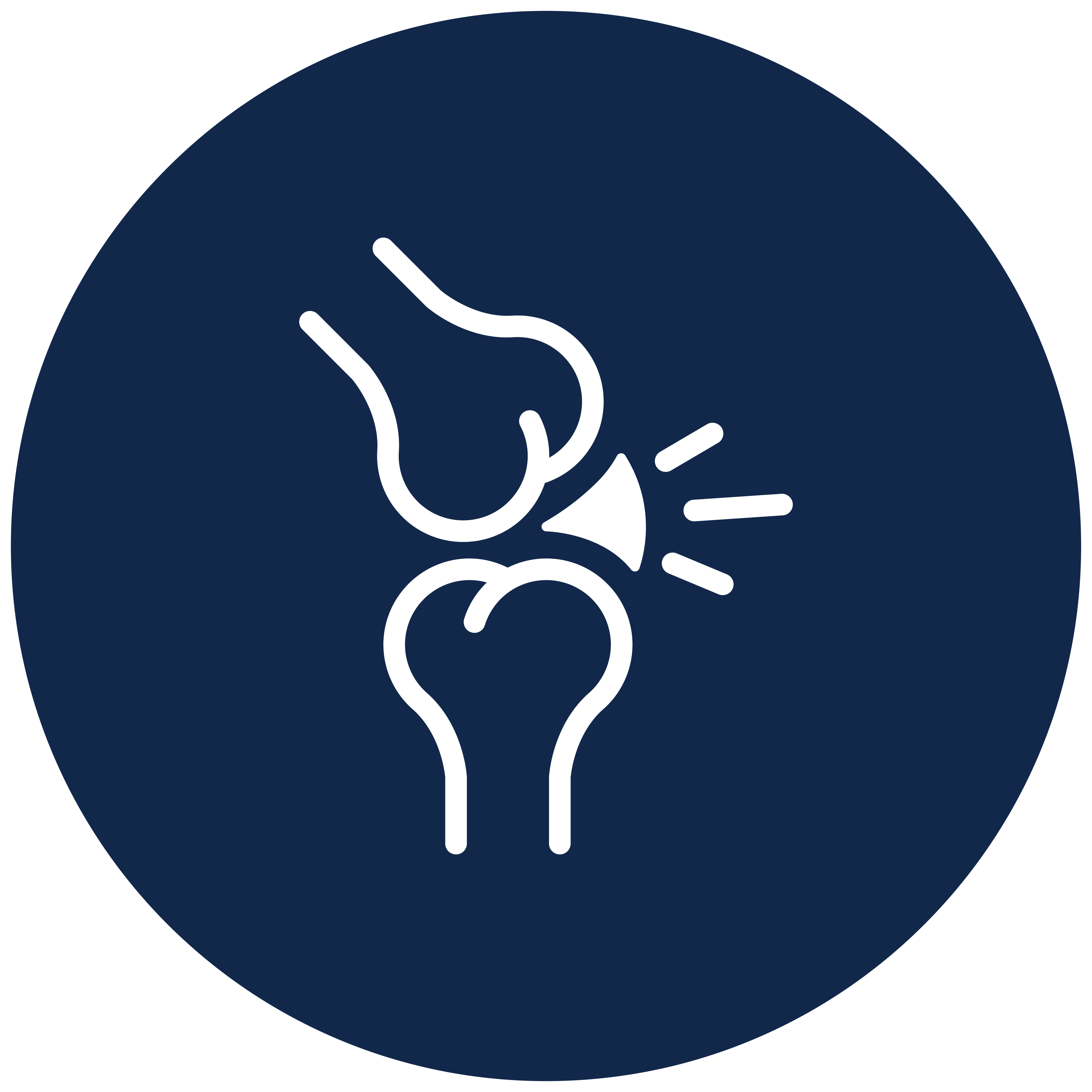 Cartilage & Connective Tissue Health