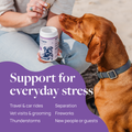Pet Calm Supplement