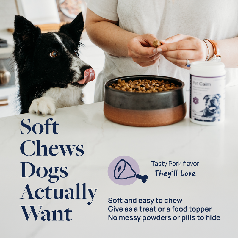 Pet Calm Supplement