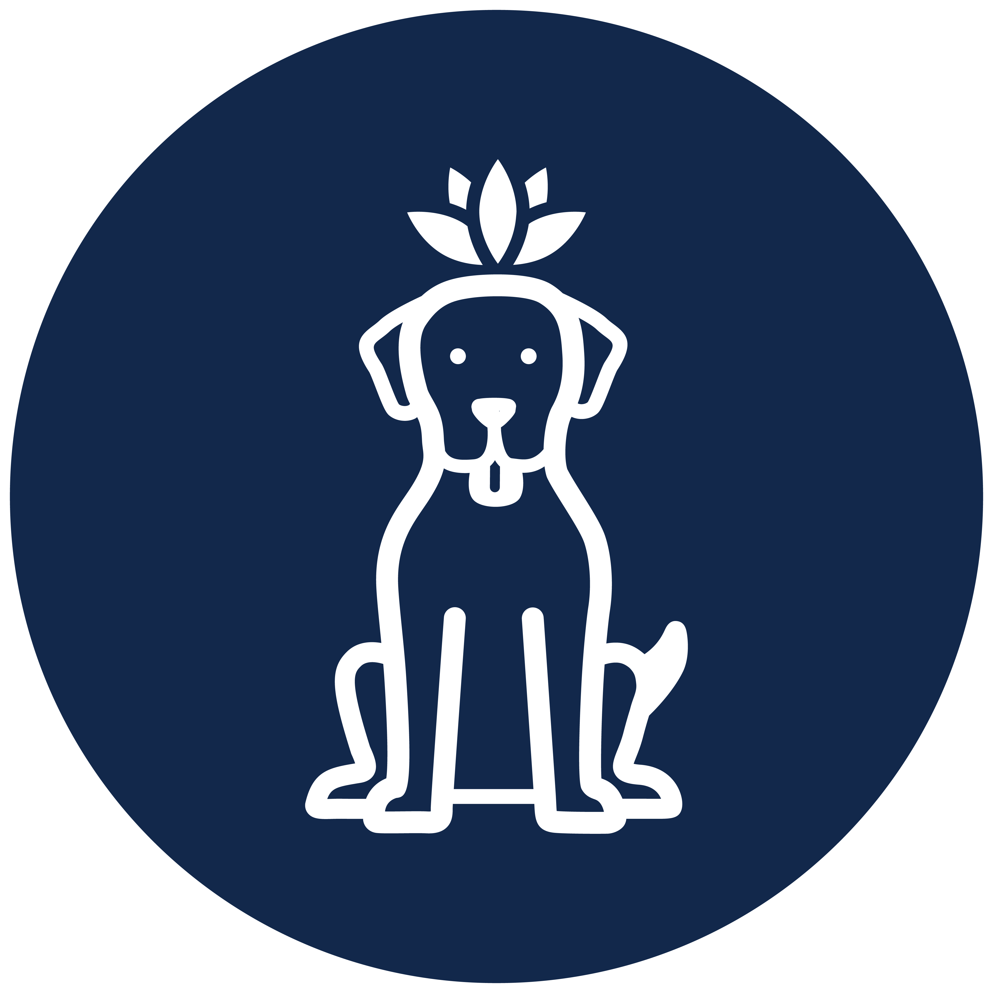 Calm without the Drowsy