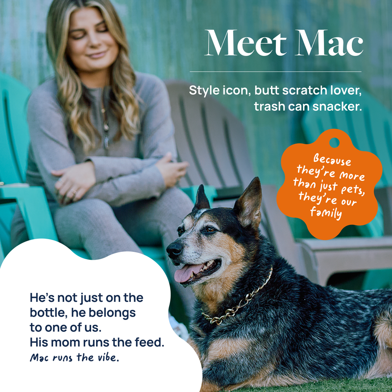 Senior Support Supplement