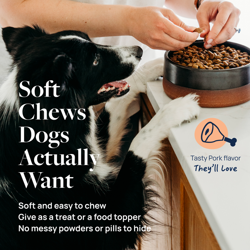 Senior Support Supplement