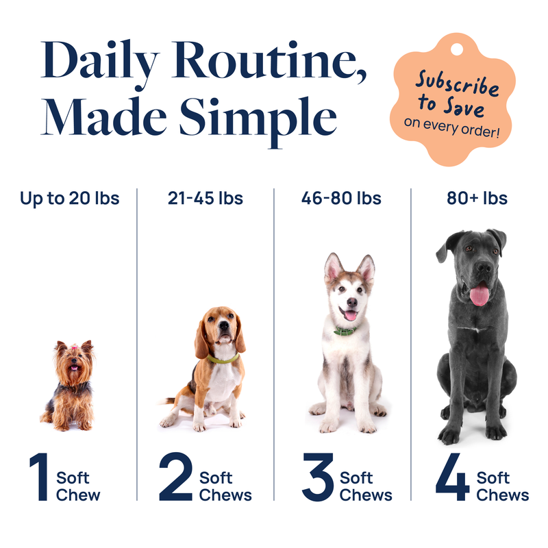 Senior Support Supplement