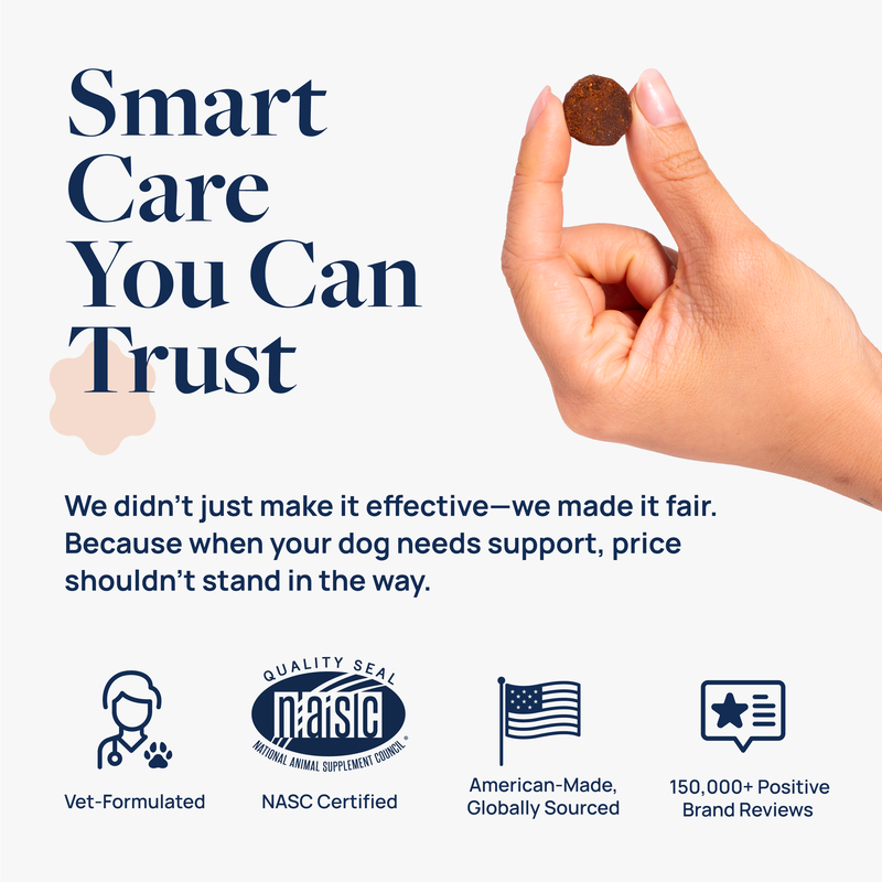 Senior Support Supplement