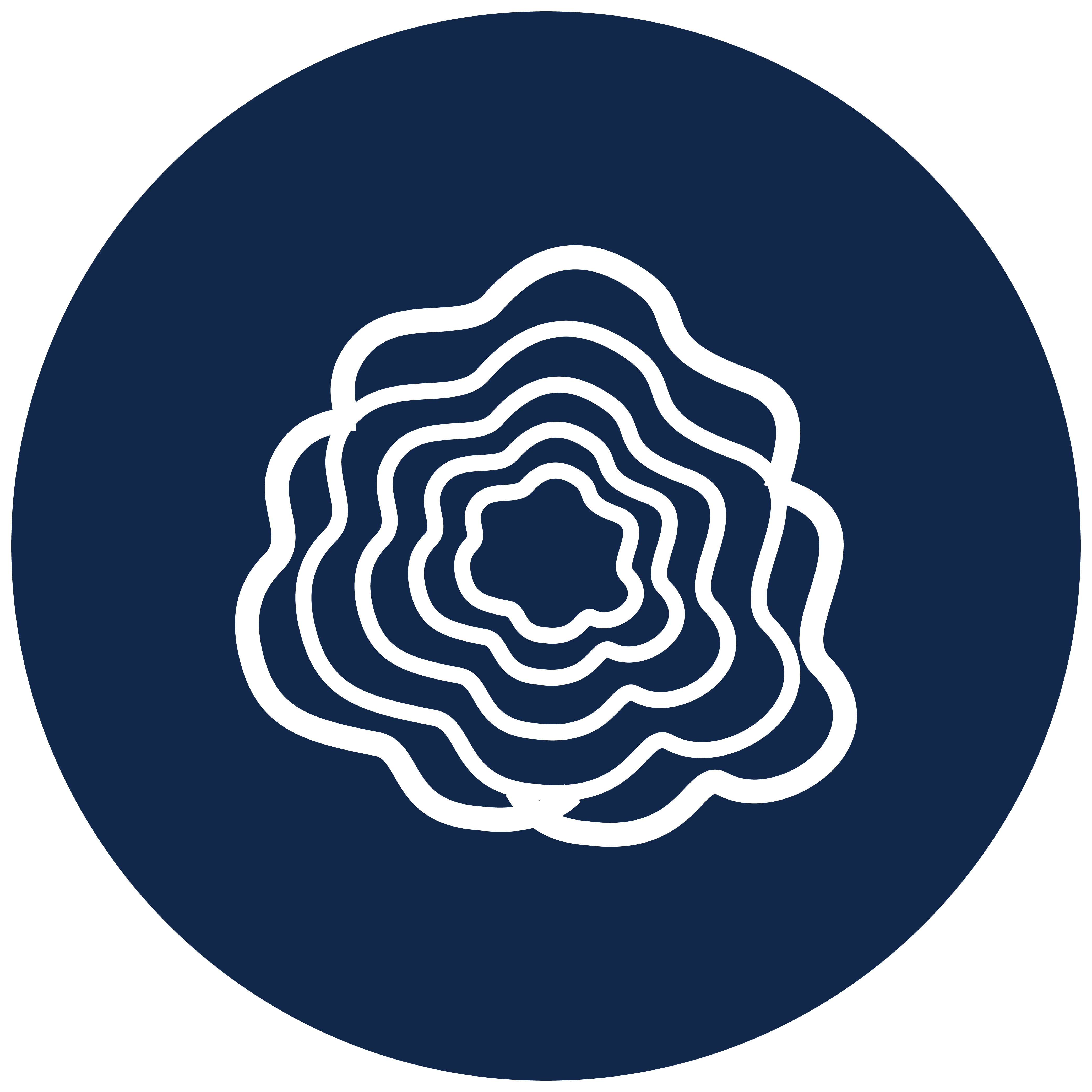 Turkey Tail Mushroom