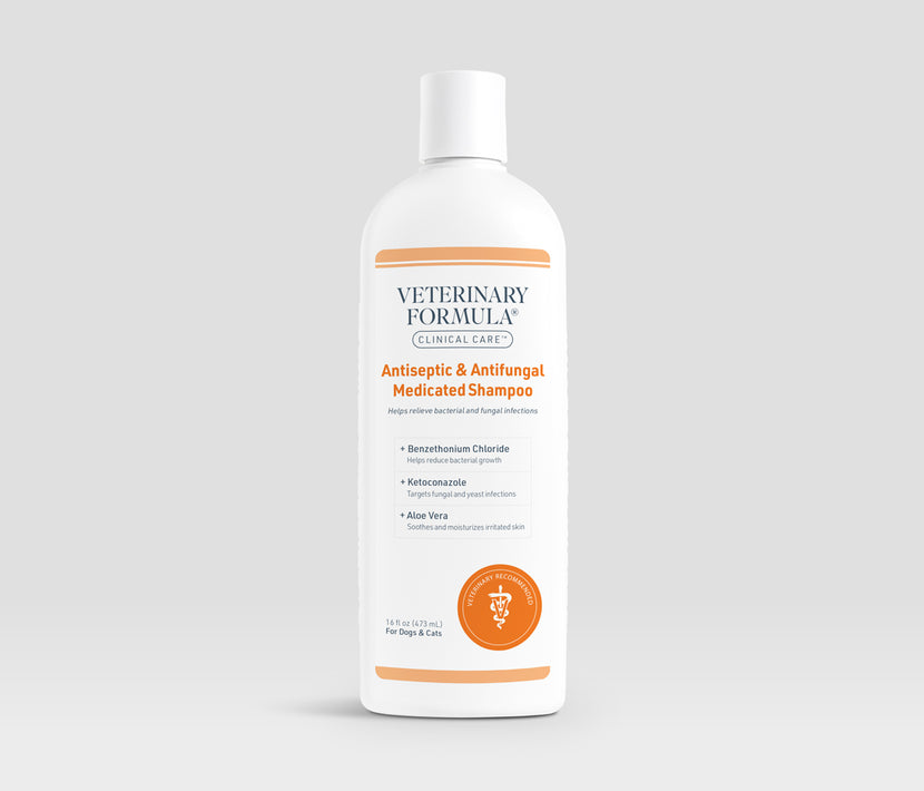 Antiseptic & Antifungal Medicated Shampoo