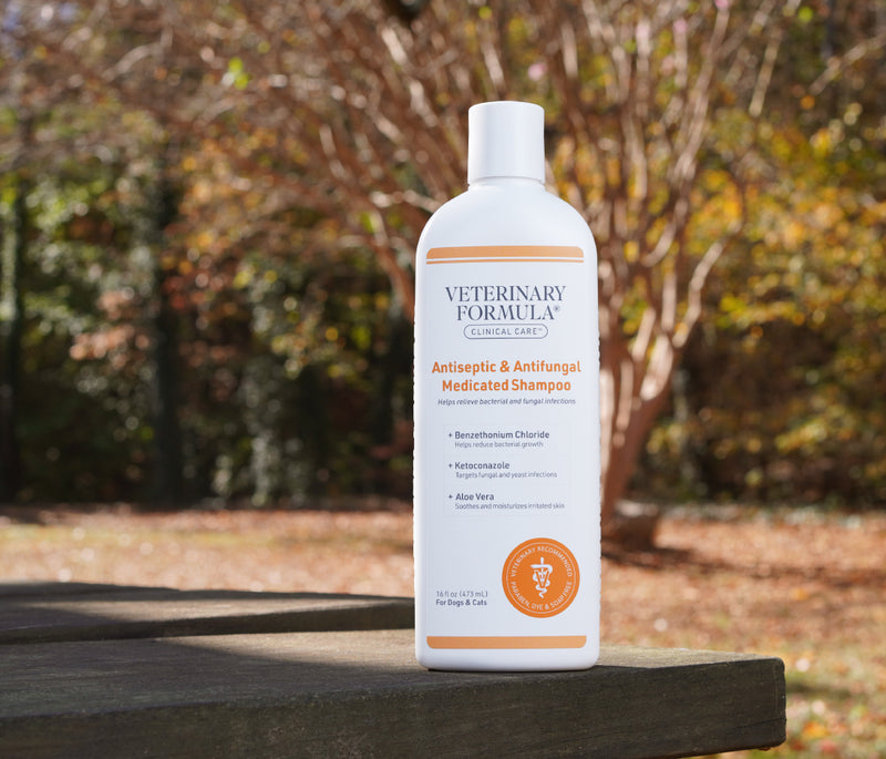 Antiseptic & Antifungal Medicated Shampoo