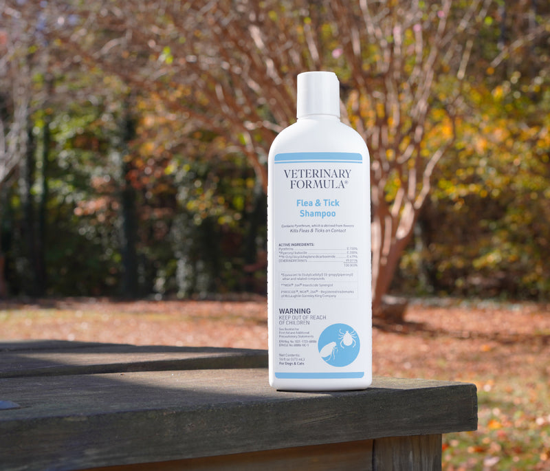 Flea & Tick Shampoo