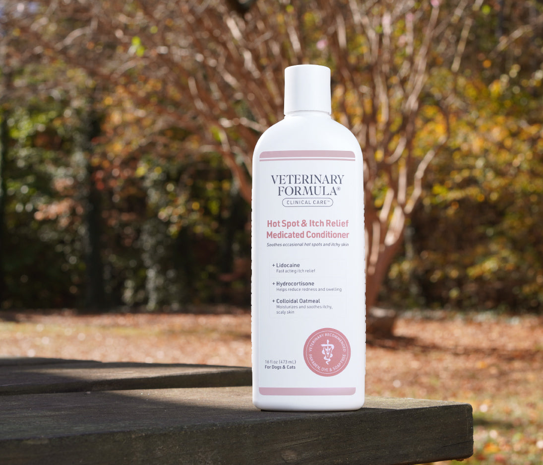 Hot spot and itch relief for dogs clearance