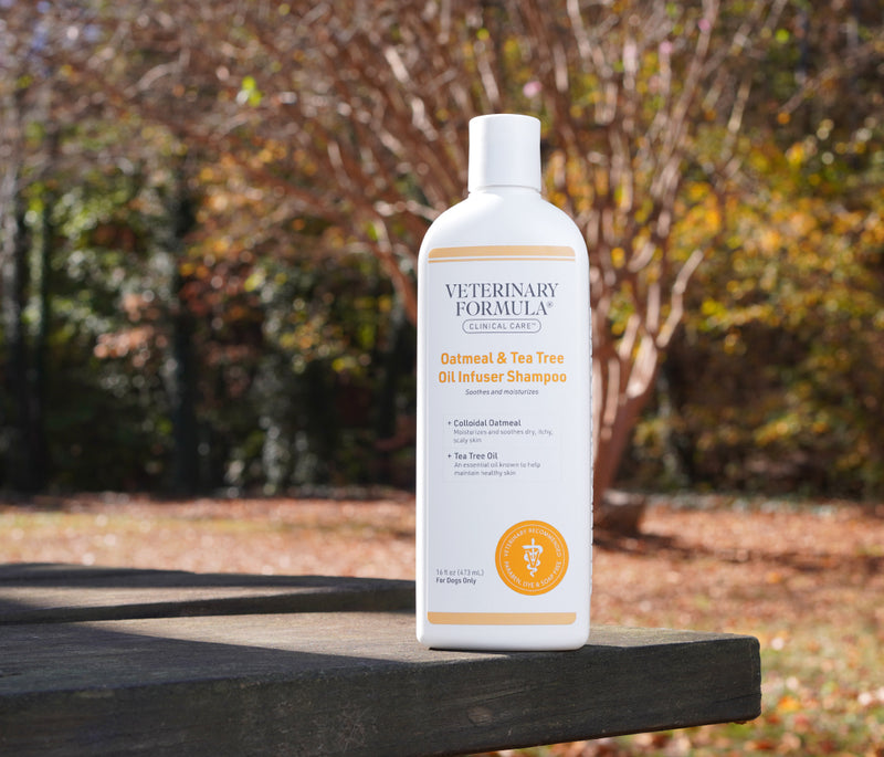 Oatmeal & Tea Tree Oil Infuser Shampoo