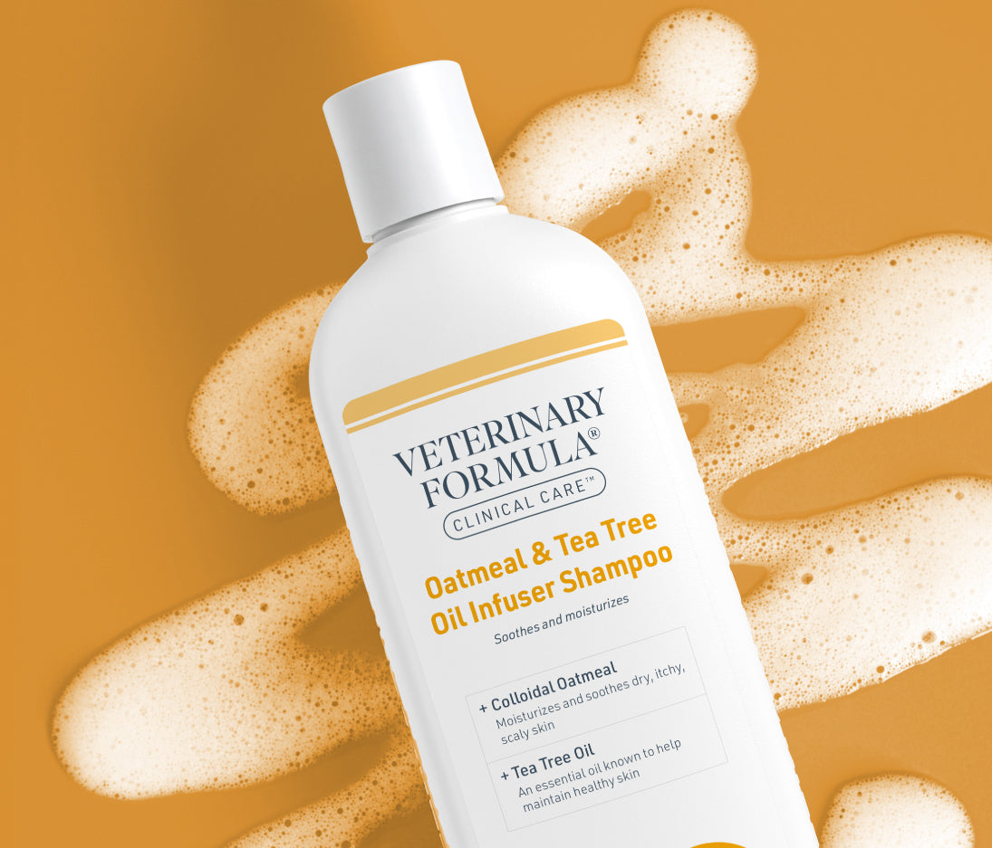 Oatmeal Tea Tree Oil Infuser Shampoo