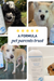 Flea & Tick Shampoo