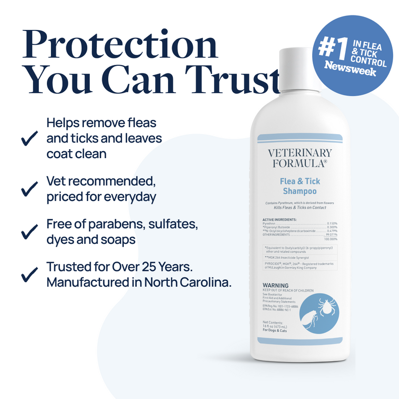 Flea & Tick Shampoo