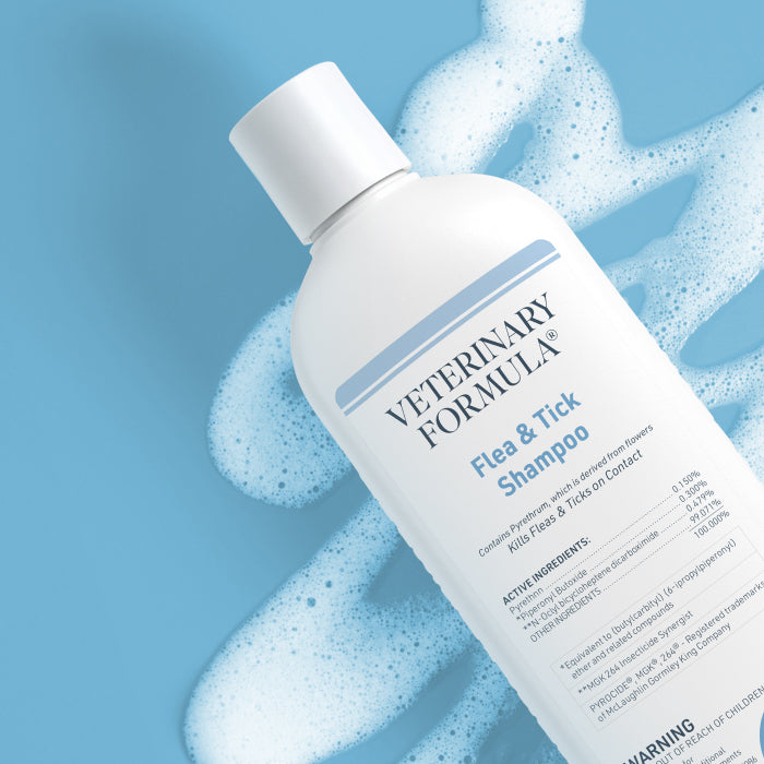 Veterinary formula clinical care antiparasitic & antiseborrheic shampoo reviews clearance