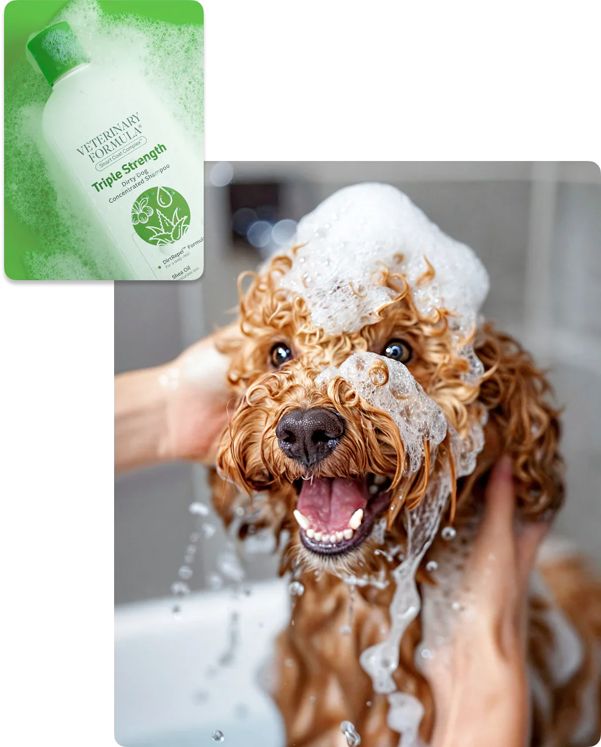 Happy dog enjoying bath with Veterinary Formula Triple Strength shampoo for clean, healthy fur