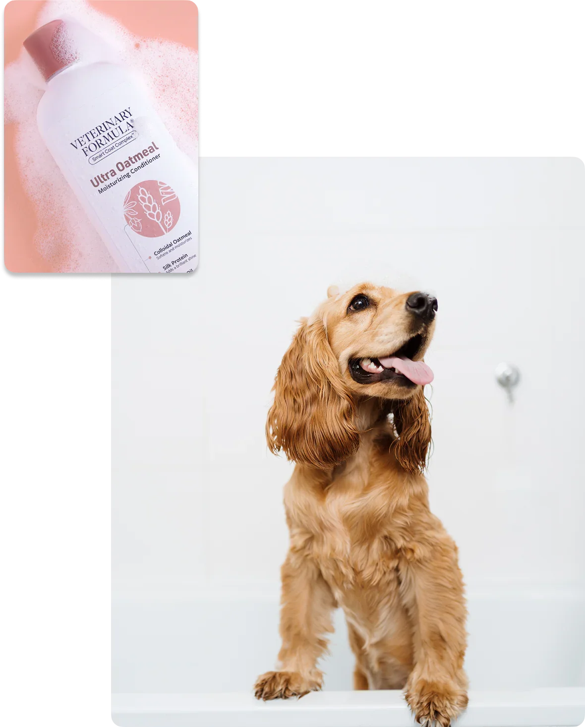 Happy dog in bath with Veterinary Formula Ultra Oatmeal Moisturizing Conditioner for pet care