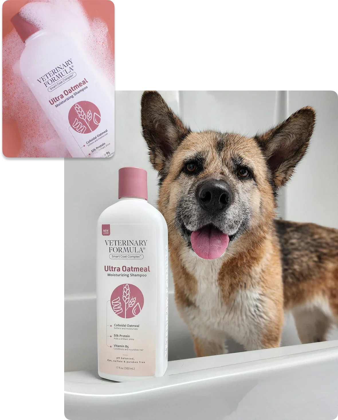 Veterinary Formula Ultra Oatmeal Moisturizing Shampoo with happy dog in bath, featuring colloidal oatmeal and silk protein