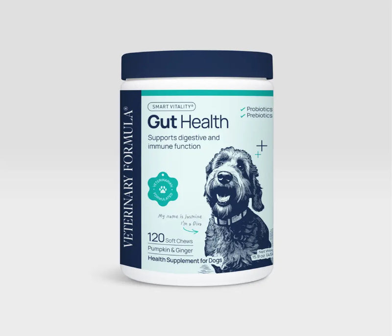 Gut Health Supplement