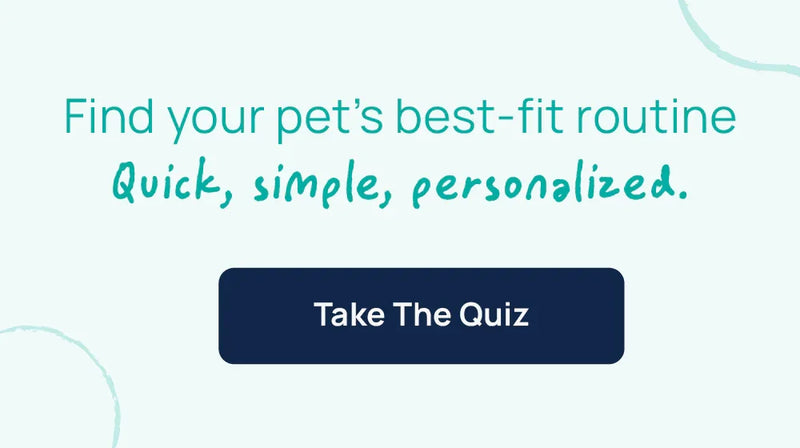Happy dog illustration with 'Find your pet’s best-fit routine' text and 'Take The Quiz' button for personalized pet care.
