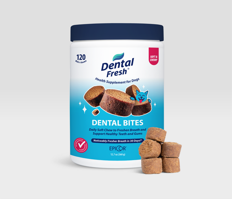 Dental Bites