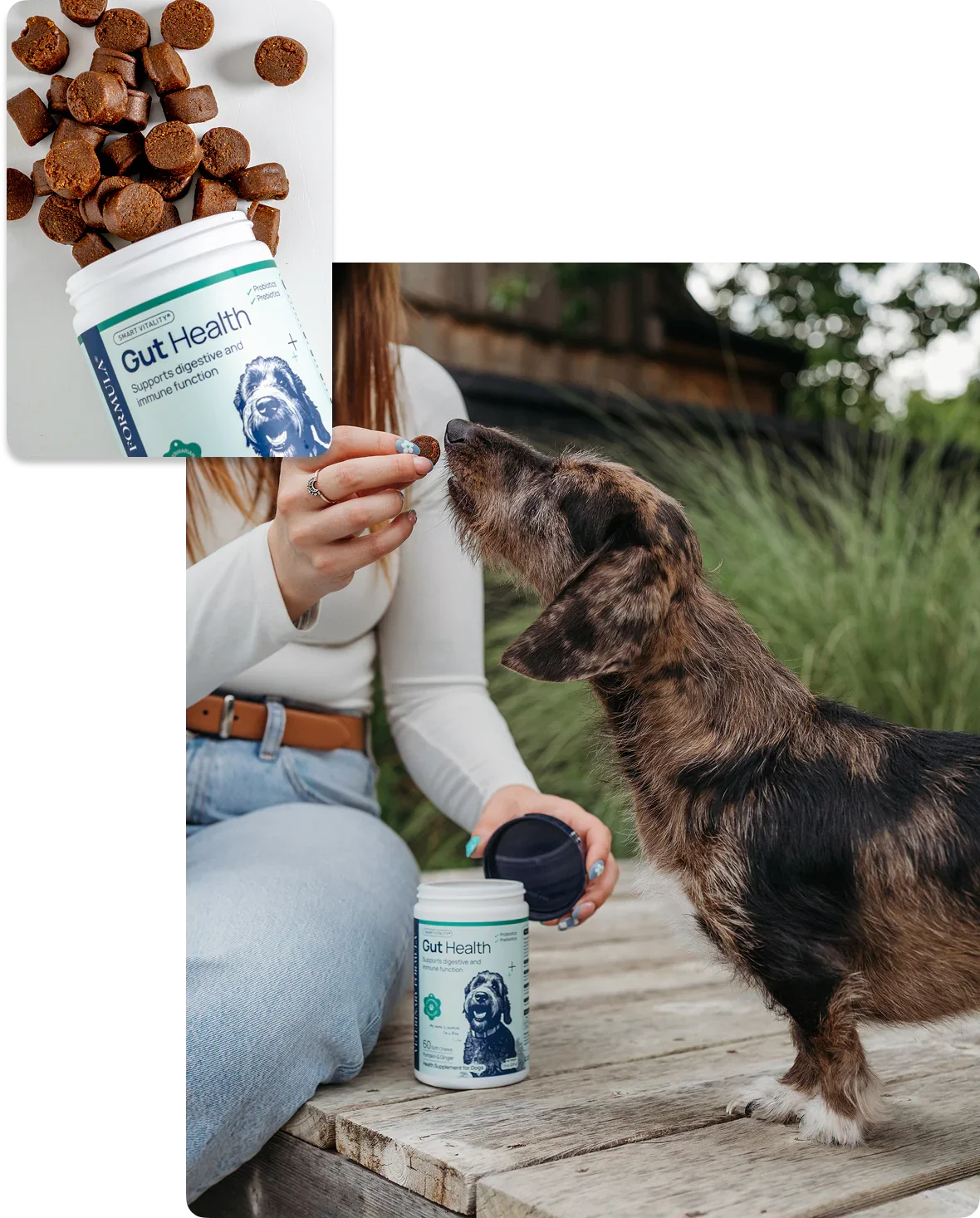 Dog taking Gut Health supplement treat from owner, supporting digestive and immune function for pets