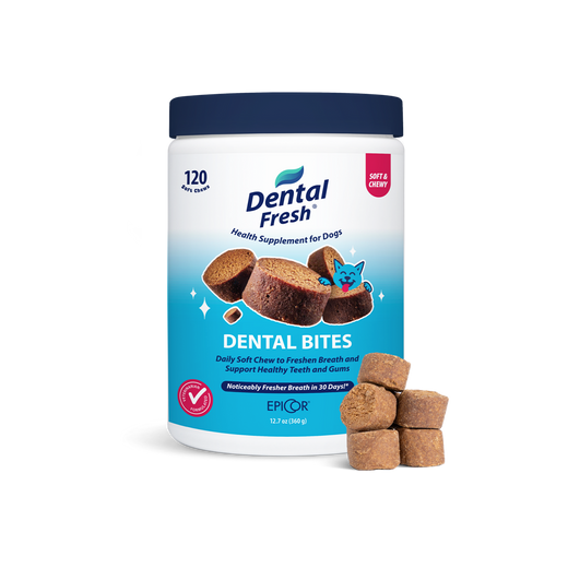 Dental Bites